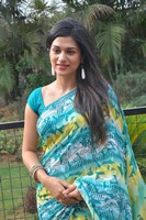 Shraddha Das Saree Pics